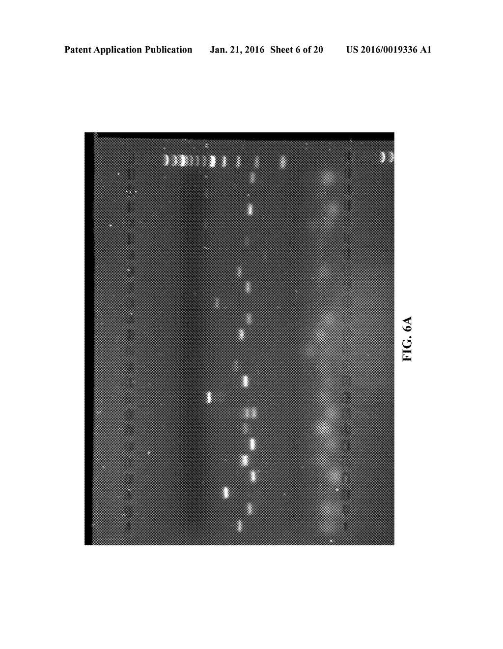 EVALUATING GENETIC DISORDERS - diagram, schematic, and image 07