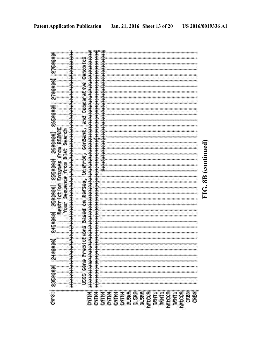 EVALUATING GENETIC DISORDERS - diagram, schematic, and image 14