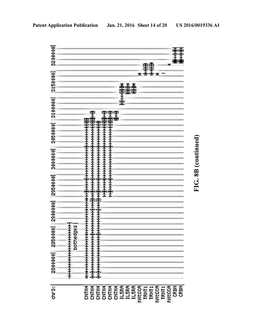 EVALUATING GENETIC DISORDERS - diagram, schematic, and image 15