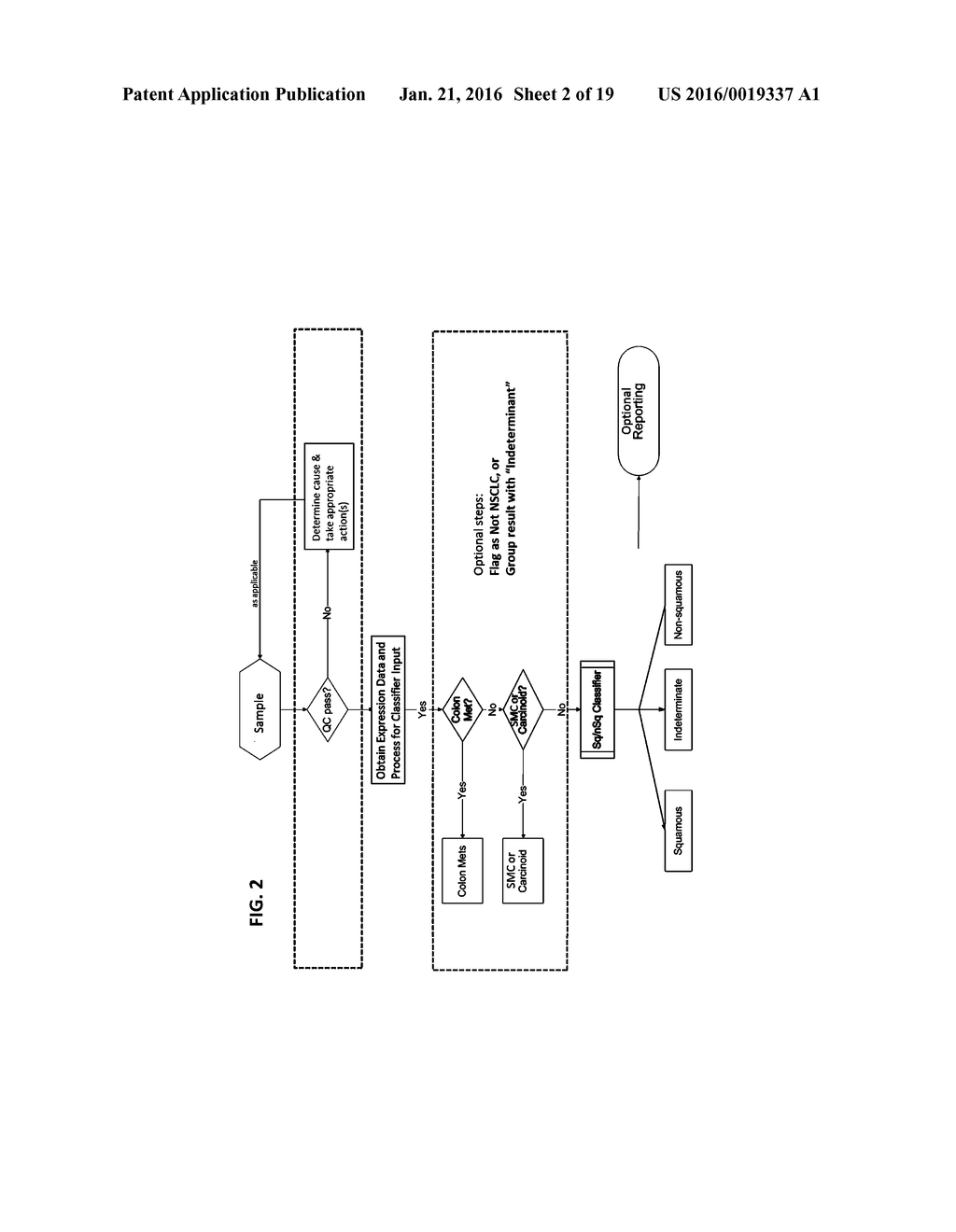 SUBTYPING LUNG CANCERS - diagram, schematic, and image 03