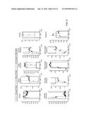 PERSON IDENTIFICATION USING OCULAR BIOMETRICS WITH LIVENESS DETECTION diagram and image