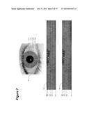 Computationally Efficient Feature Extraction and Matching Iris Recognition diagram and image