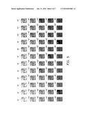 IMAGE PROCESSING METHOD AND ELECTRONIC DEVICE USING THE SAME diagram and image