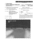 SLIDERS HAVING AT LEAST TWO REGIONS ON THE TRAILING EDGE SURFACE diagram and image