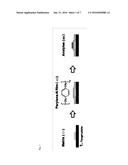 SAMPLE PLATE FOR MALDI-TOF MASS SPECTROMETER AND METHOD OF MANUFACTURING     THE SAMPLE PLATE AND MASS SPECTROMETRY METHOD USING THE SAMPLE PLATE diagram and image