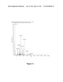 Method to Perform Beam-Type Collision-Activated Dissociation in the     Pre-Existing Ion Injection Pathway of a Mass Spectrometer diagram and image