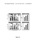 Method to Perform Beam-Type Collision-Activated Dissociation in the     Pre-Existing Ion Injection Pathway of a Mass Spectrometer diagram and image