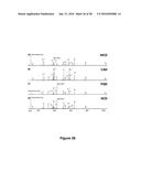 Method to Perform Beam-Type Collision-Activated Dissociation in the     Pre-Existing Ion Injection Pathway of a Mass Spectrometer diagram and image