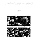 CATHODE MATERIAL FOR NON-AQUEOUS LITHIUM SECONDARY BATTERY USING SPHERICAL     COBALT HYDROXIDE diagram and image