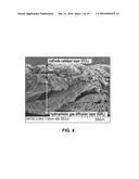 Mixed-Reactant Fuel Cells with Selective Electrodes diagram and image