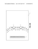 ROBUST CROSSTALK CANCELLATION USING A SPEAKER ARRAY diagram and image