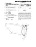 COLLAPSIBLE WATERFOWL DECOY APPARATUS diagram and image