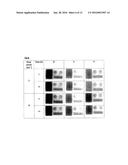 INKJET PRINTING WITH EDIBLE INK diagram and image