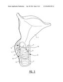 Vaginal Drug Delivery and/or Diagnostic System diagram and image