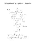 MICRONIZED PHARMACEUTICAL COMPOSITIONS diagram and image