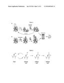 Compounds Useful for Promoting Protein Degradation and Methods Using Same diagram and image