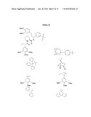 Compounds Useful for Promoting Protein Degradation and Methods Using Same diagram and image