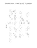 Compounds Useful for Promoting Protein Degradation and Methods Using Same diagram and image