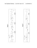 Compounds Useful for Promoting Protein Degradation and Methods Using Same diagram and image