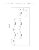 Compounds Useful for Promoting Protein Degradation and Methods Using Same diagram and image