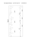 Compounds Useful for Promoting Protein Degradation and Methods Using Same diagram and image