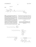 Compounds Useful for Promoting Protein Degradation and Methods Using Same diagram and image