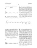 Compounds Useful for Promoting Protein Degradation and Methods Using Same diagram and image