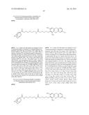 Compounds Useful for Promoting Protein Degradation and Methods Using Same diagram and image