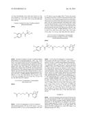 Compounds Useful for Promoting Protein Degradation and Methods Using Same diagram and image