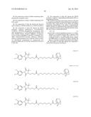 Compounds Useful for Promoting Protein Degradation and Methods Using Same diagram and image