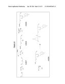 Compounds Useful for Promoting Protein Degradation and Methods Using Same diagram and image