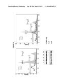 Compounds Useful for Promoting Protein Degradation and Methods Using Same diagram and image