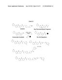 Compounds Useful for Promoting Protein Degradation and Methods Using Same diagram and image