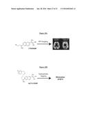 Compounds Useful for Promoting Protein Degradation and Methods Using Same diagram and image