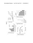 Compounds Useful for Promoting Protein Degradation and Methods Using Same diagram and image