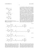 Compounds Useful for Promoting Protein Degradation and Methods Using Same diagram and image