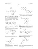 Compounds Useful for Promoting Protein Degradation and Methods Using Same diagram and image