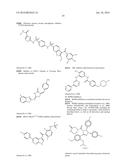 Compounds Useful for Promoting Protein Degradation and Methods Using Same diagram and image