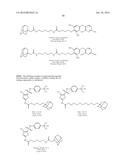 Compounds Useful for Promoting Protein Degradation and Methods Using Same diagram and image