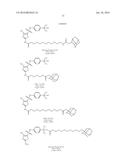 Compounds Useful for Promoting Protein Degradation and Methods Using Same diagram and image