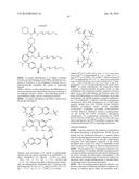 Compounds Useful for Promoting Protein Degradation and Methods Using Same diagram and image