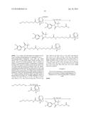 Compounds Useful for Promoting Protein Degradation and Methods Using Same diagram and image