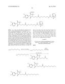 Compounds Useful for Promoting Protein Degradation and Methods Using Same diagram and image