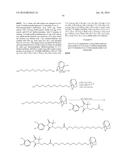 Compounds Useful for Promoting Protein Degradation and Methods Using Same diagram and image