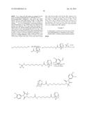 Compounds Useful for Promoting Protein Degradation and Methods Using Same diagram and image