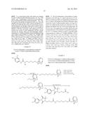 Compounds Useful for Promoting Protein Degradation and Methods Using Same diagram and image