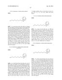 Compounds Useful for Promoting Protein Degradation and Methods Using Same diagram and image