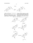 SYNTHETIC BILE ACID COMPOSITIONS AND METHODS diagram and image