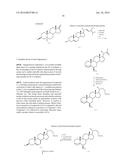 SYNTHETIC BILE ACID COMPOSITIONS AND METHODS diagram and image