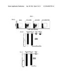 COMPOSITIONS AND METHODS FOR TREATING DISEASE STATES ASSOCIATED WITH     ACTIVATED T CELLS AND/OR B CELLS diagram and image